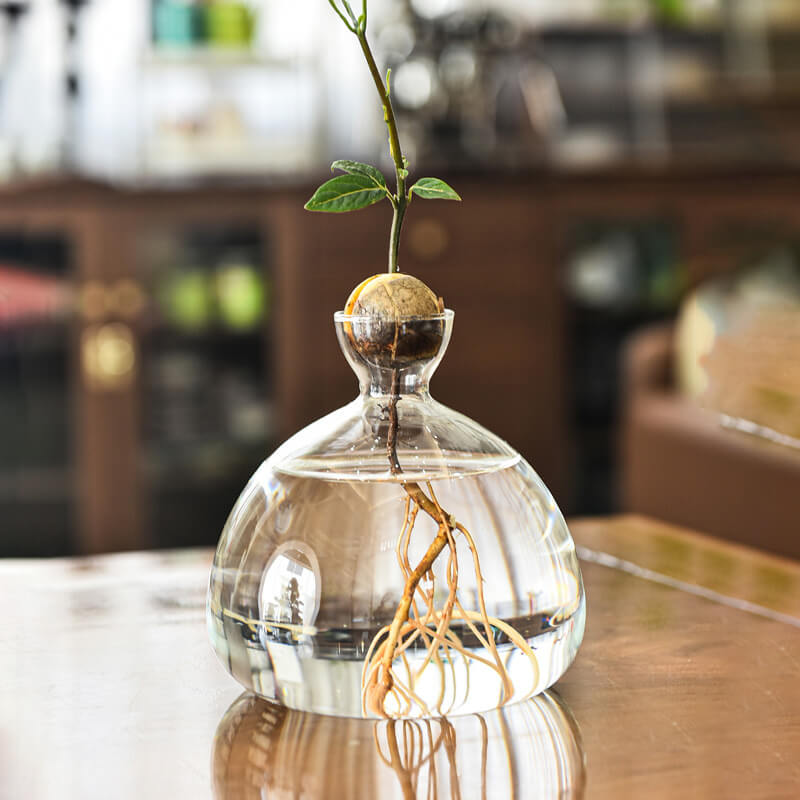 glass vase