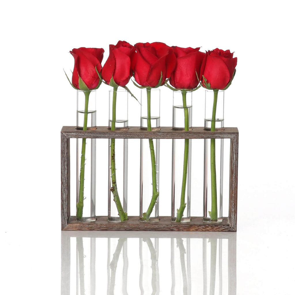 hydroponic vase​
