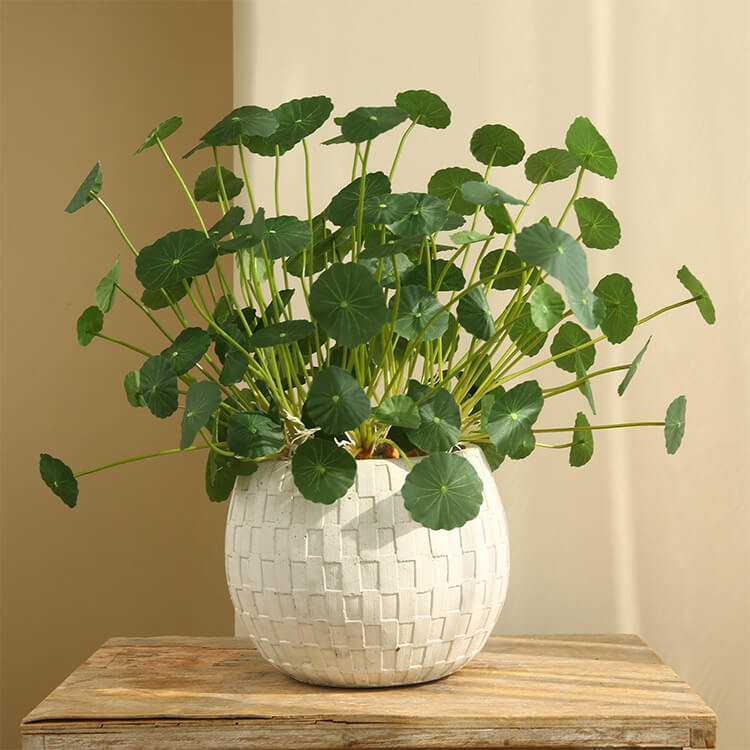 artificial plants