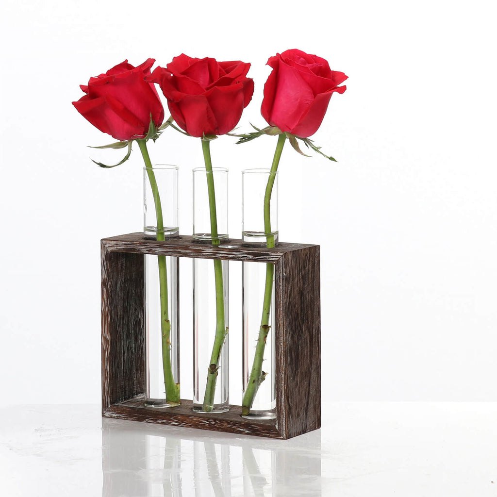 hydroponic vase​