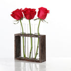 hydroponic vase​