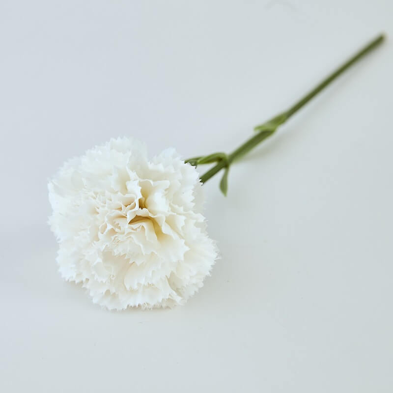 artificial carnations