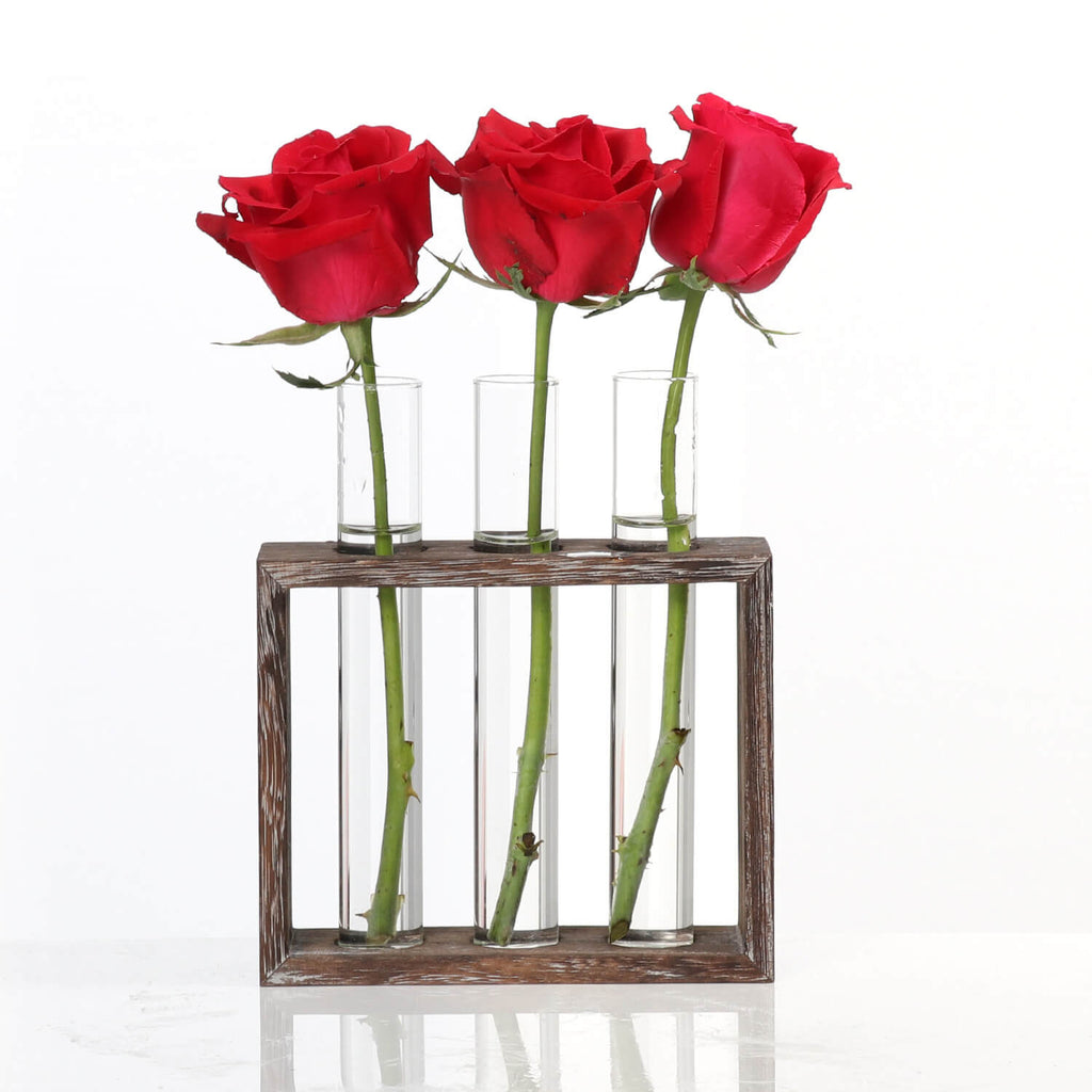 hydroponic vases frame glass​