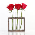 hydroponic vases frame glass​
