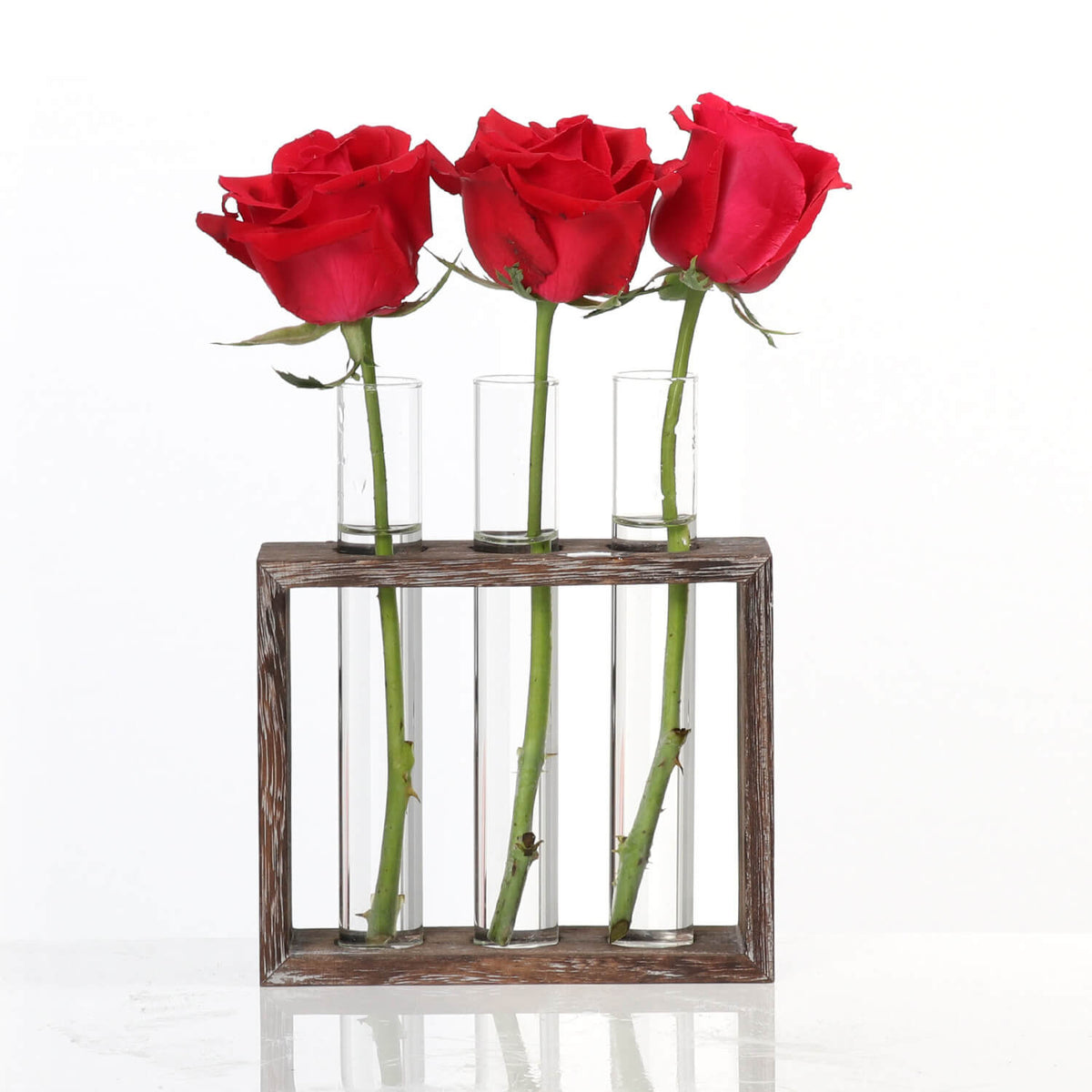 hydroponic vases frame glass​