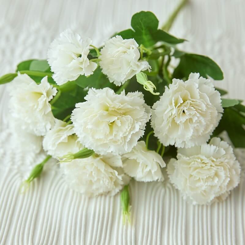 high quality silk flowers
