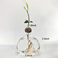 Avocado Hydroponic Vase