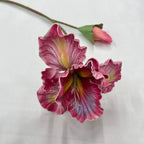 iris stem