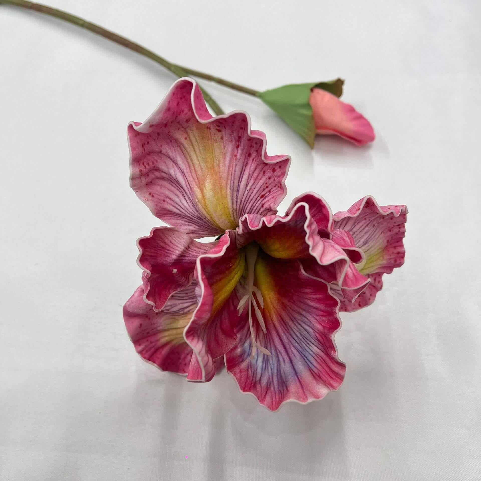 iris stem