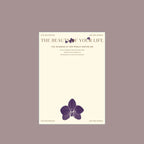 Tulip Bouquet Gift Paper, 14 × 19.7 Inch, 10 Sheets
