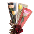 Tulip Packaging Bag, 50 Sheets