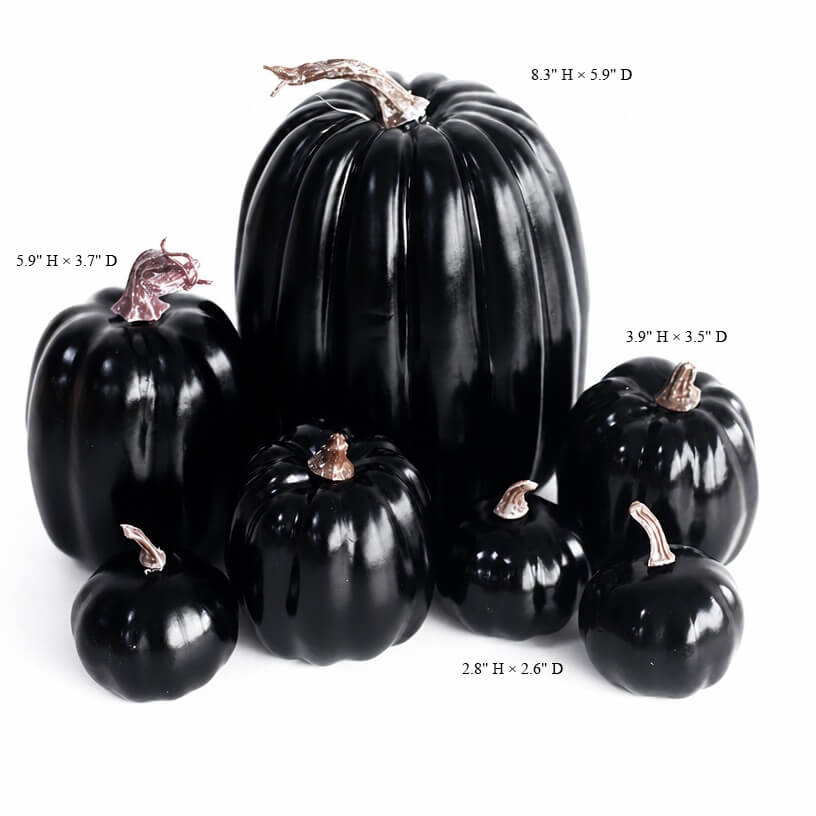 pumpkin halloween