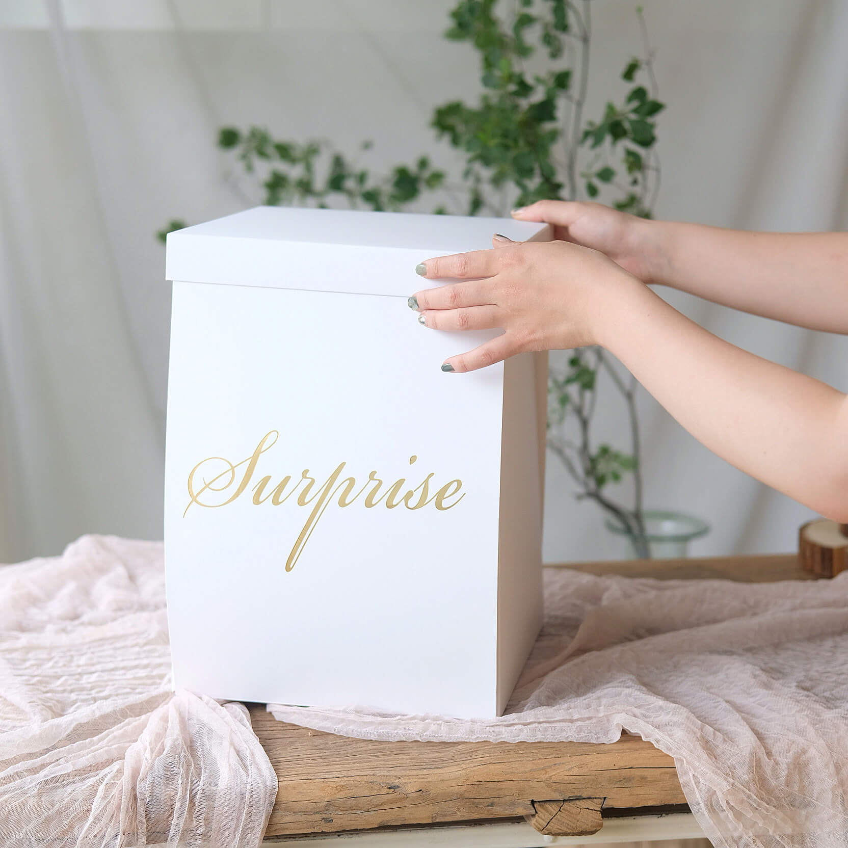 Surprise Box