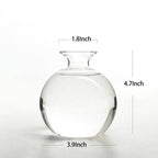 Avocado Hydroponic Vase