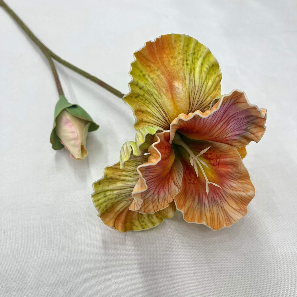 flower that looks like an iris