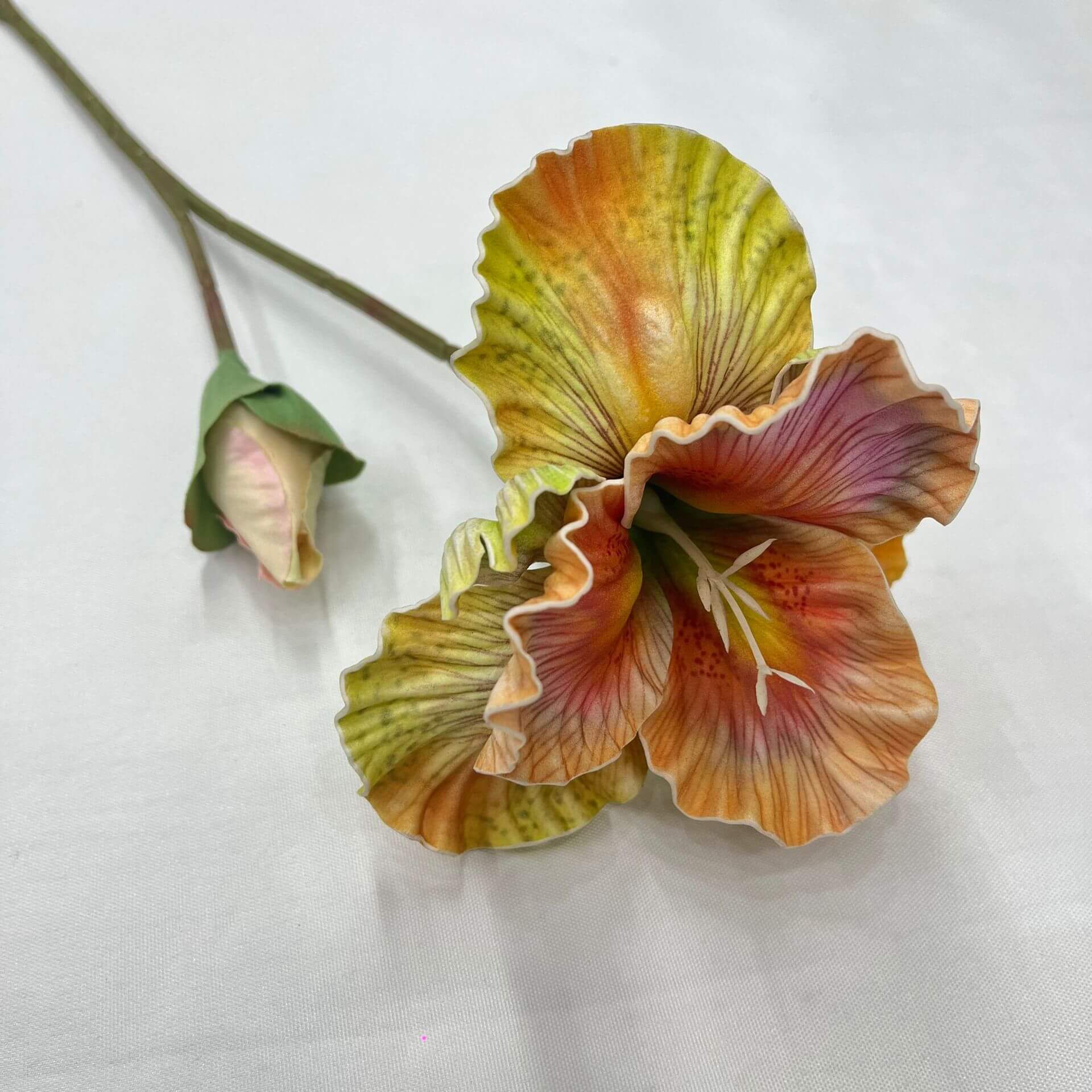 flower that looks like an iris