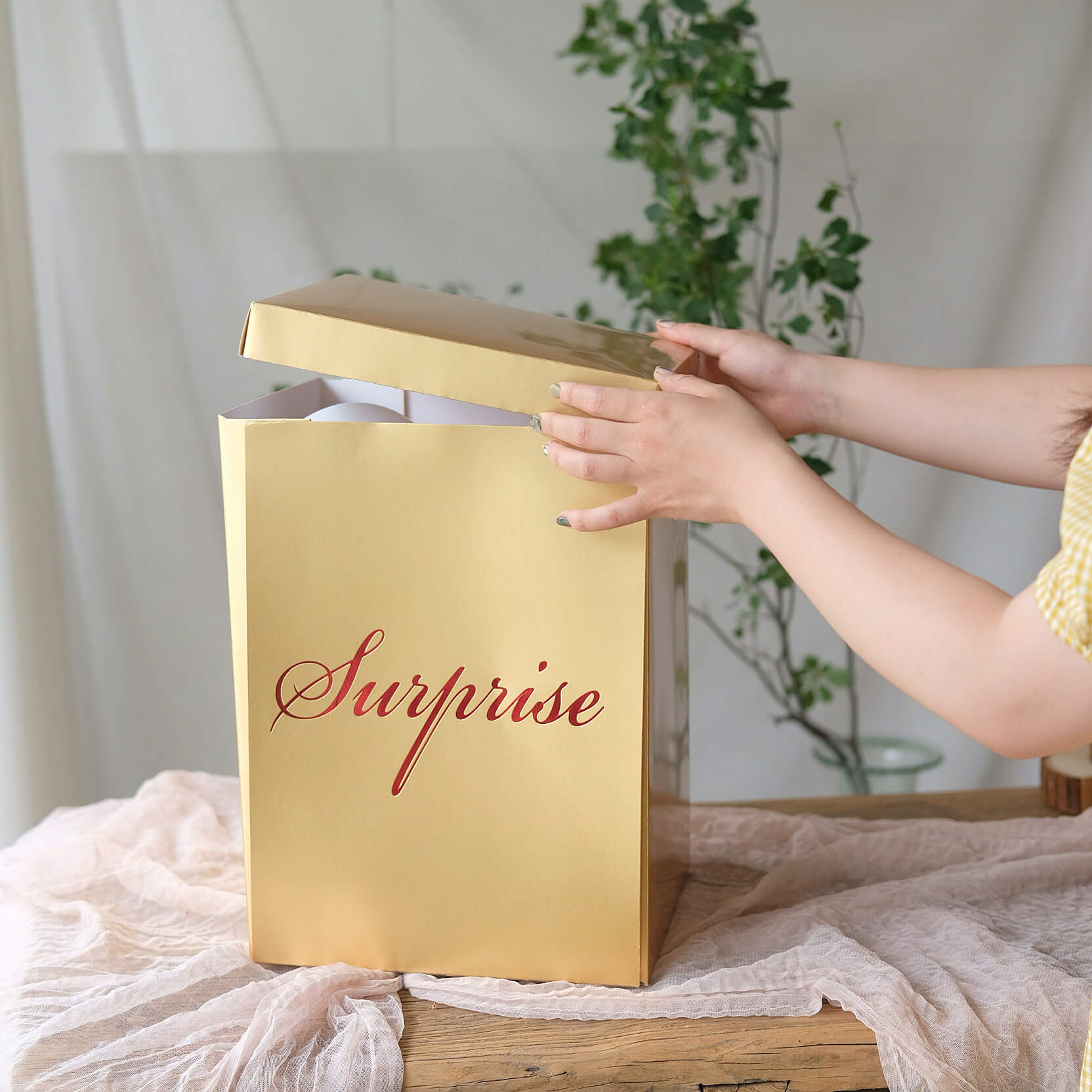 Surprise Box