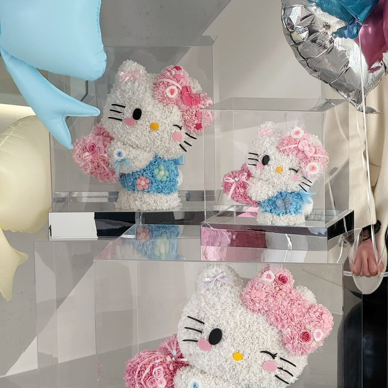 Preserved Kitty Cat