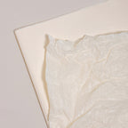 Lined Bouquet Paper, 19.6 × 27.6 Inch, 38 Sheets