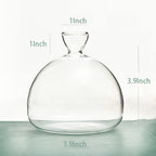 Avocado Hydroponic Vase
