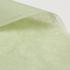 Solid Color Tissue Paper, 22.83''x 22.83'' - 20 sheets