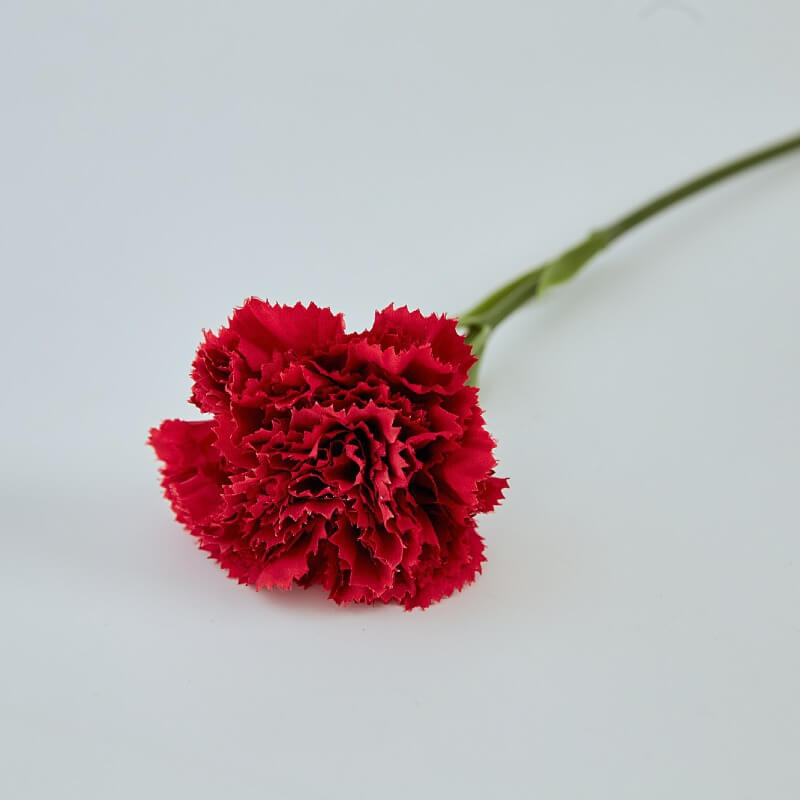 artificial carnation flowers