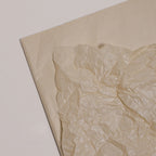 Pearlescent Flower Wrapping Paper, 19.68''x 27.55'' - 38 sheets