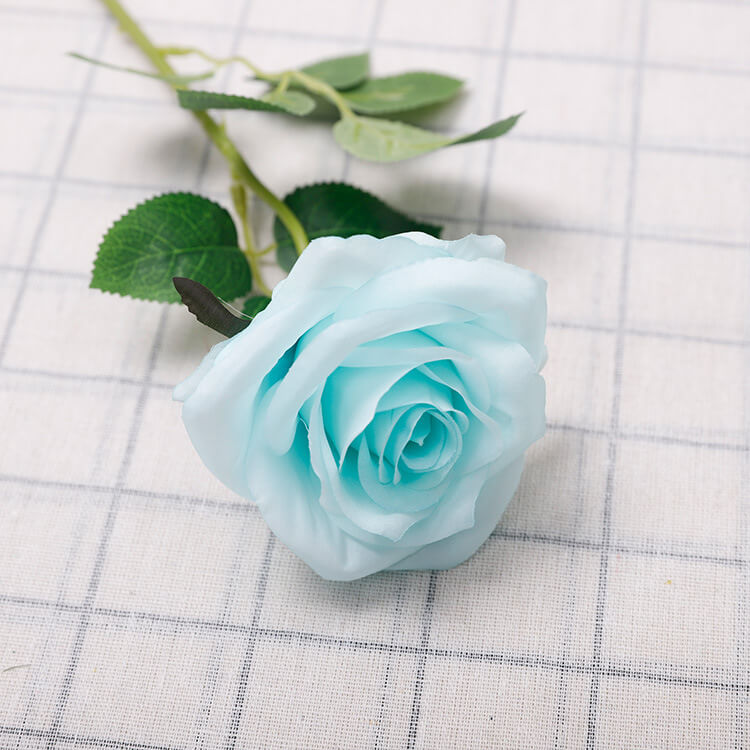 rose silk