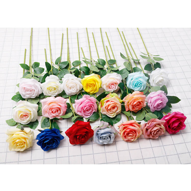 flowers that look like roses