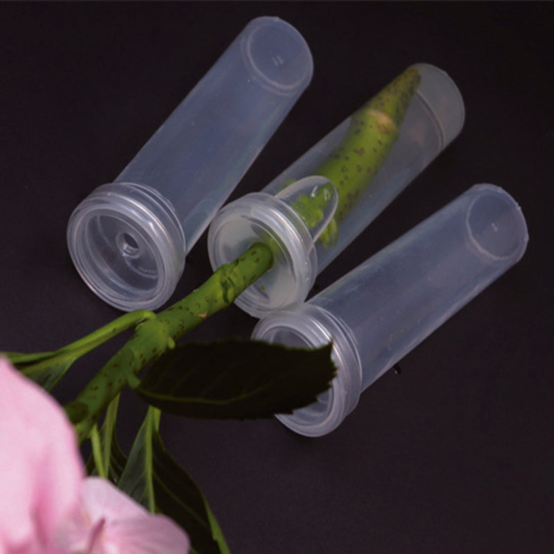water tubes floral
