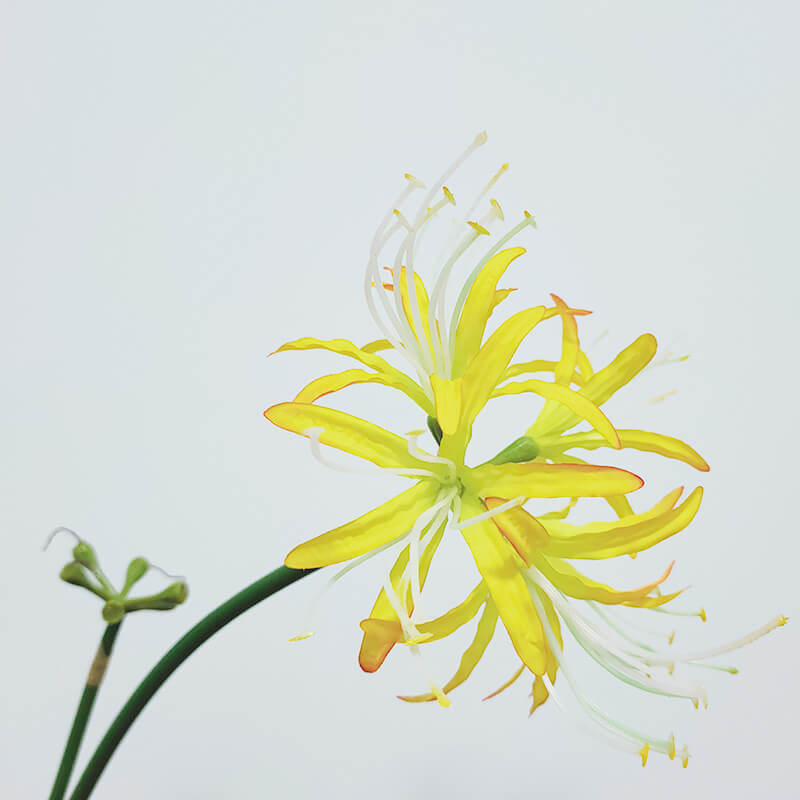 silk flower arrangements