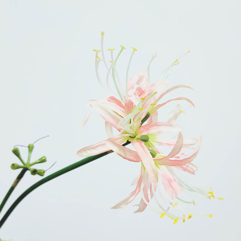 Artificial Single Stem Lycoris Radiata - 26''