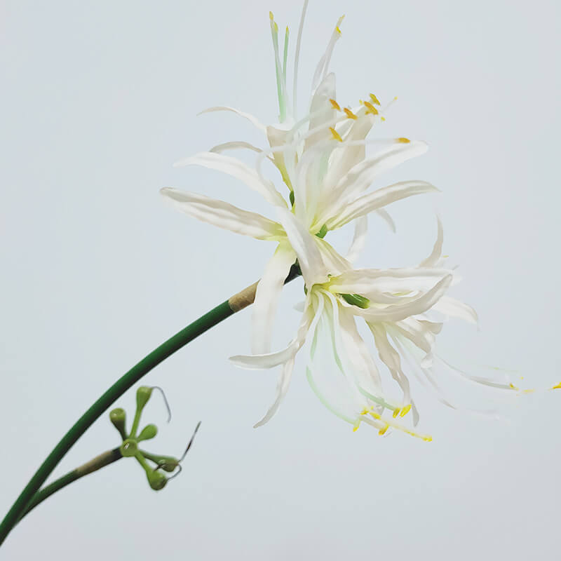 Artificial Single Stem Lycoris Radiata - 26''