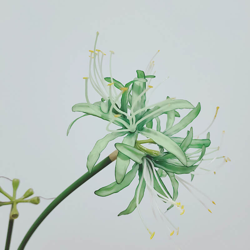 Artificial Single Stem Lycoris Radiata - 26''
