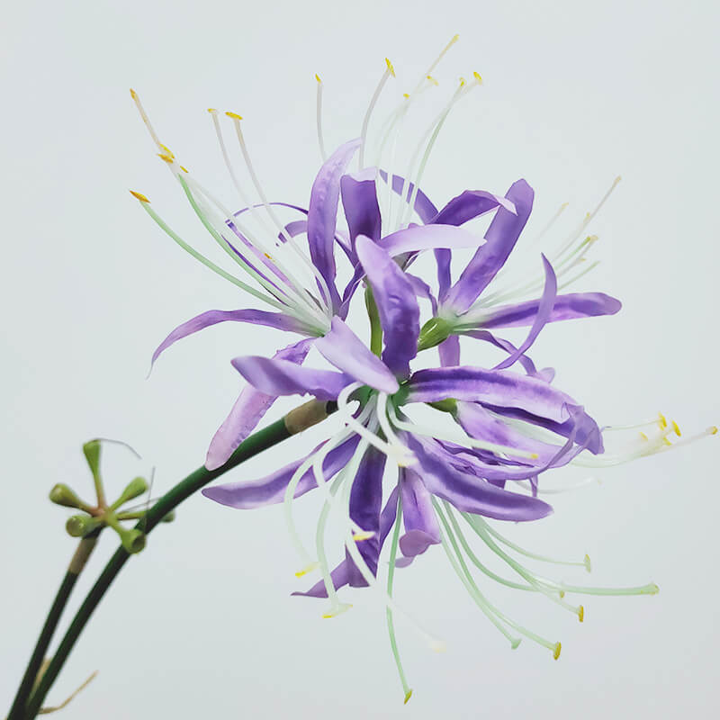 Artificial Single Stem Lycoris Radiata - 26''