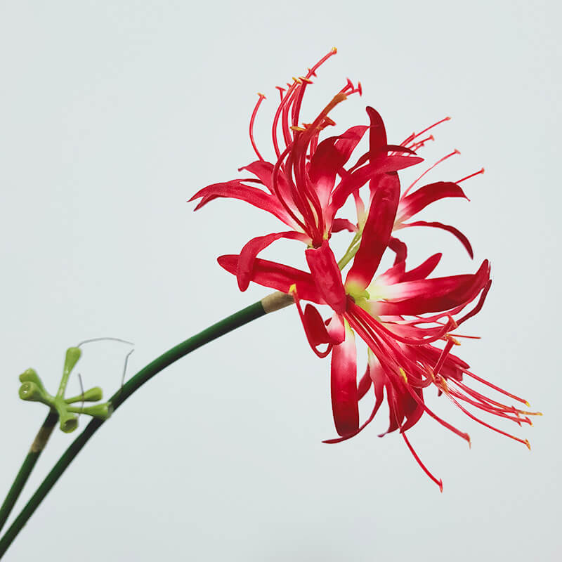 Artificial Single Stem Lycoris Radiata - 26''