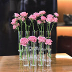 hydroponic vase​