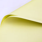 Solid-colored Matte Florist Paper, 23 x 23 Inch