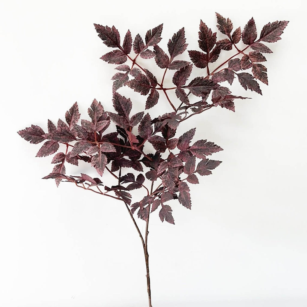 Plum Fake Cimicifuga Leaves - 31‘’
