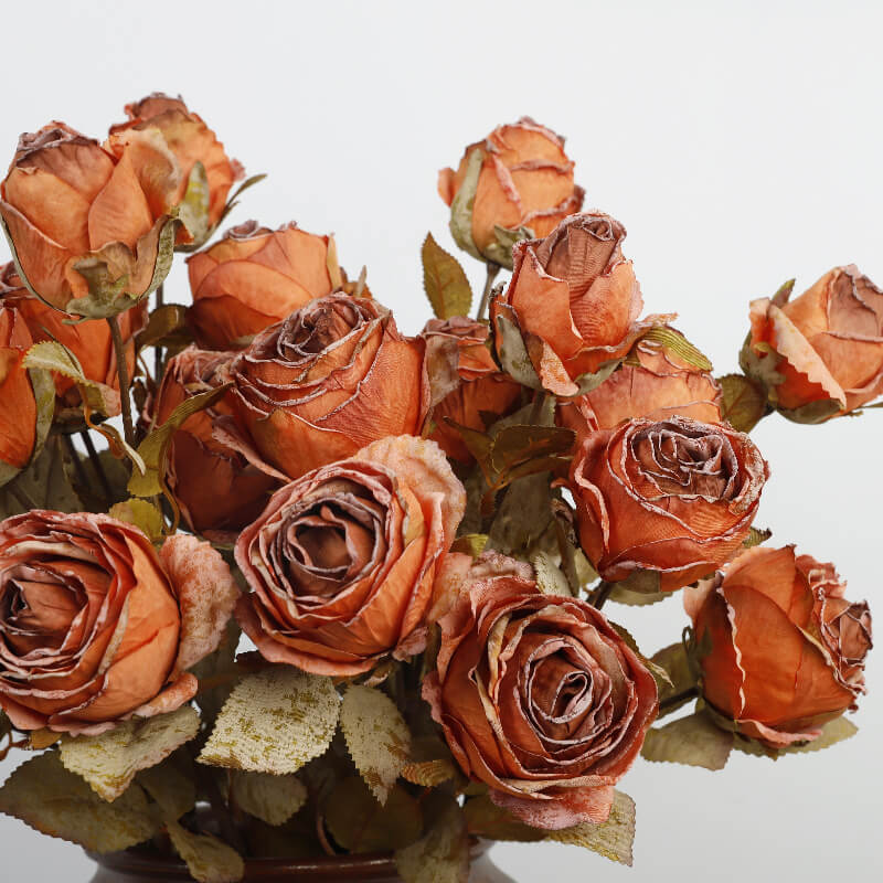burnt orange roses