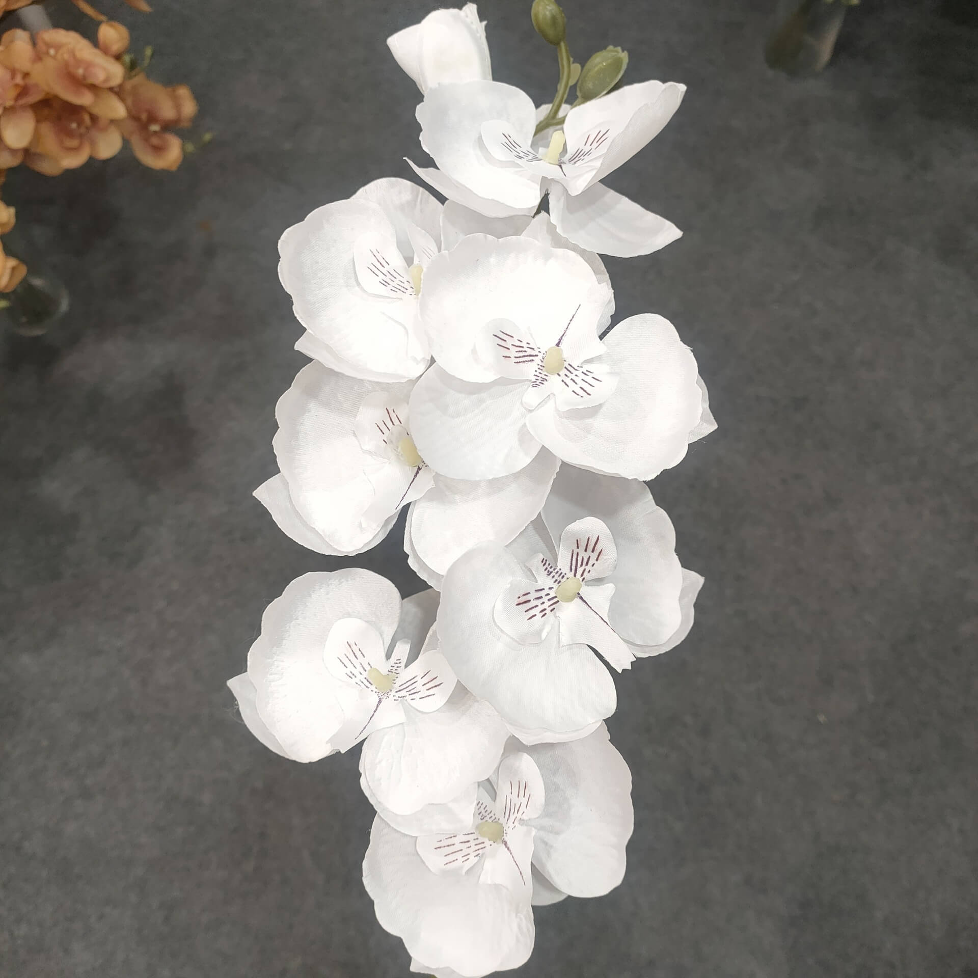 Artificial White Phalaenopsis Orchids Flowers