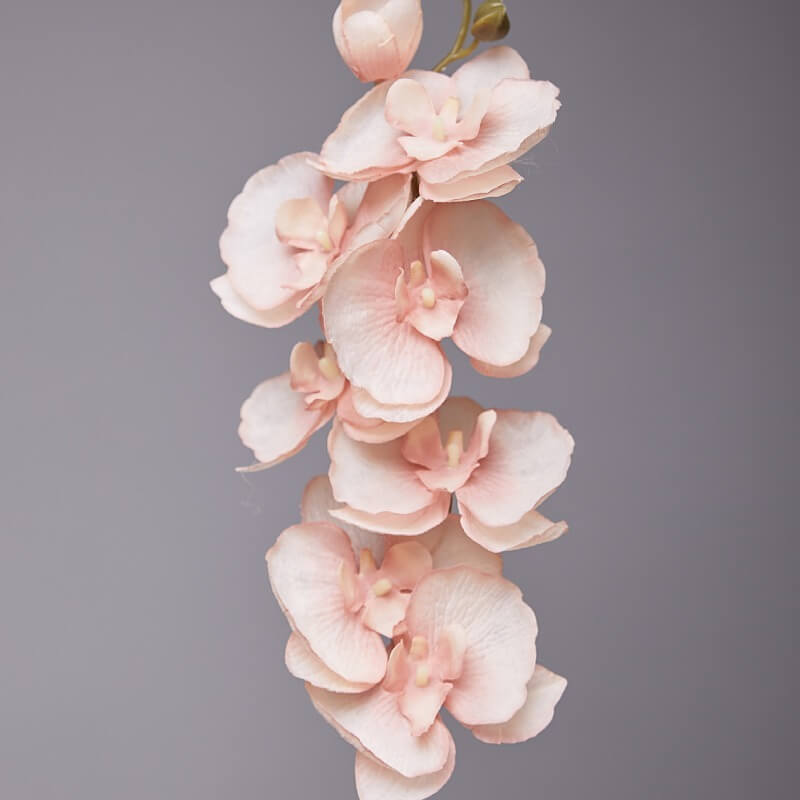 Artificial White Phalaenopsis Orchids Flowers