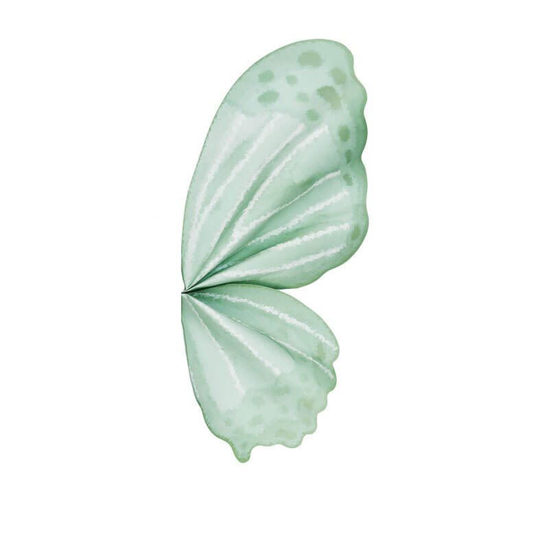 Butterfly Wing Wrapping Paper