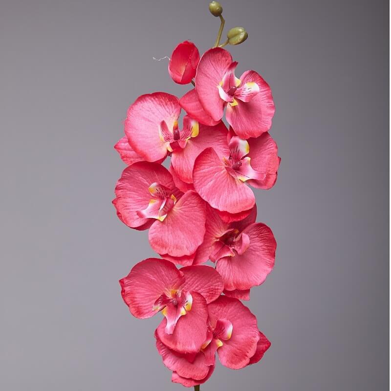 Artificial White Phalaenopsis Orchids Flowers