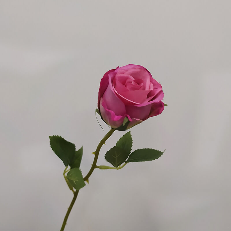cheap silk roses