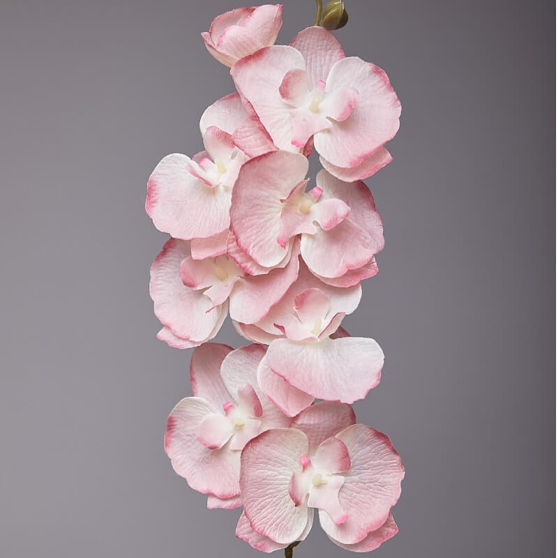 artificial phalaenopsis