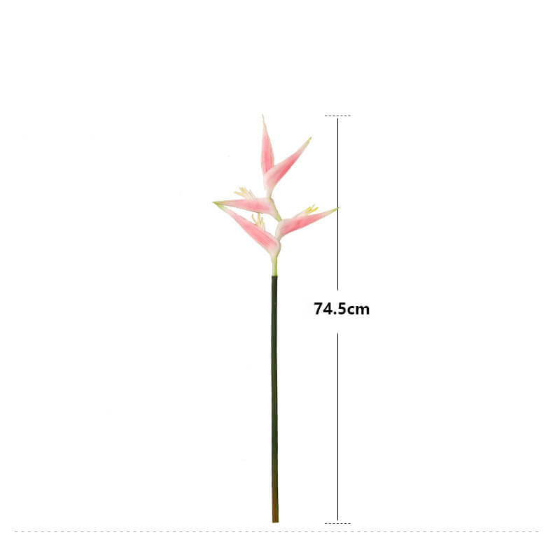 Real-touch Bird of Paradise Stems
