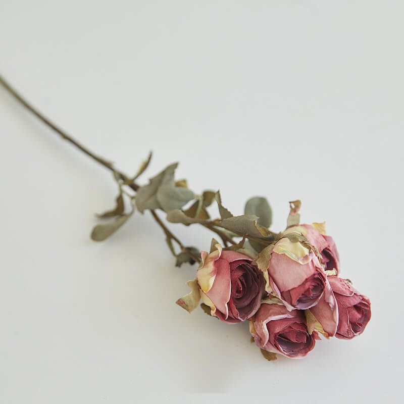 roses in bouquet