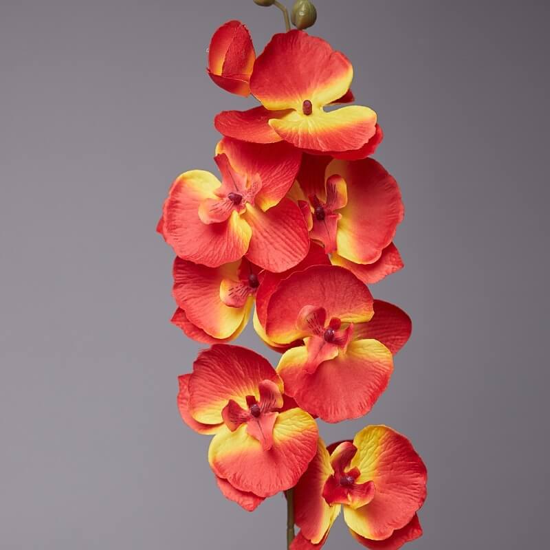 Artificial White Phalaenopsis Orchids Flowers