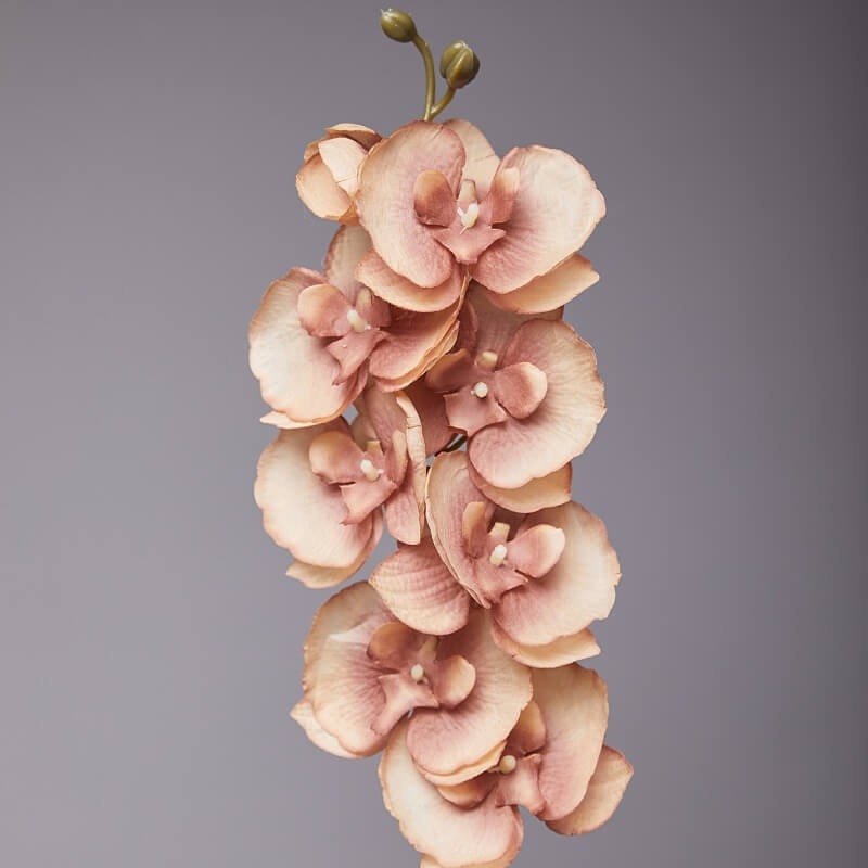 Artificial White Phalaenopsis Orchids Flowers
